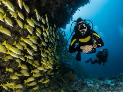 Подводный мир Красного моря